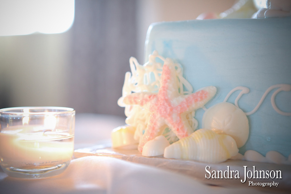 Best Don Cesar Wedding photographer - Sandra Johnson (SJFoto.com)